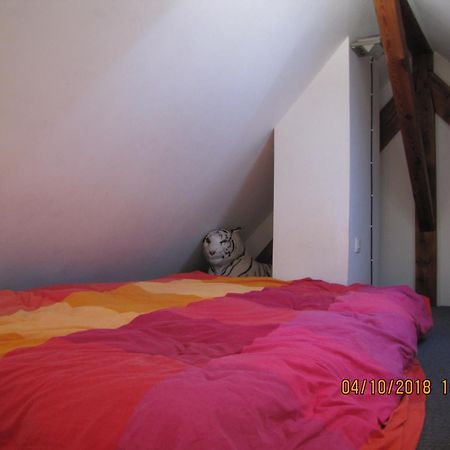 R Bnb Ouest Molsheim Bagian luar foto